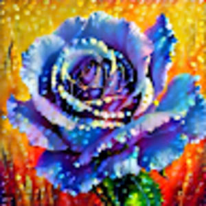 Meet your Posher, Natali